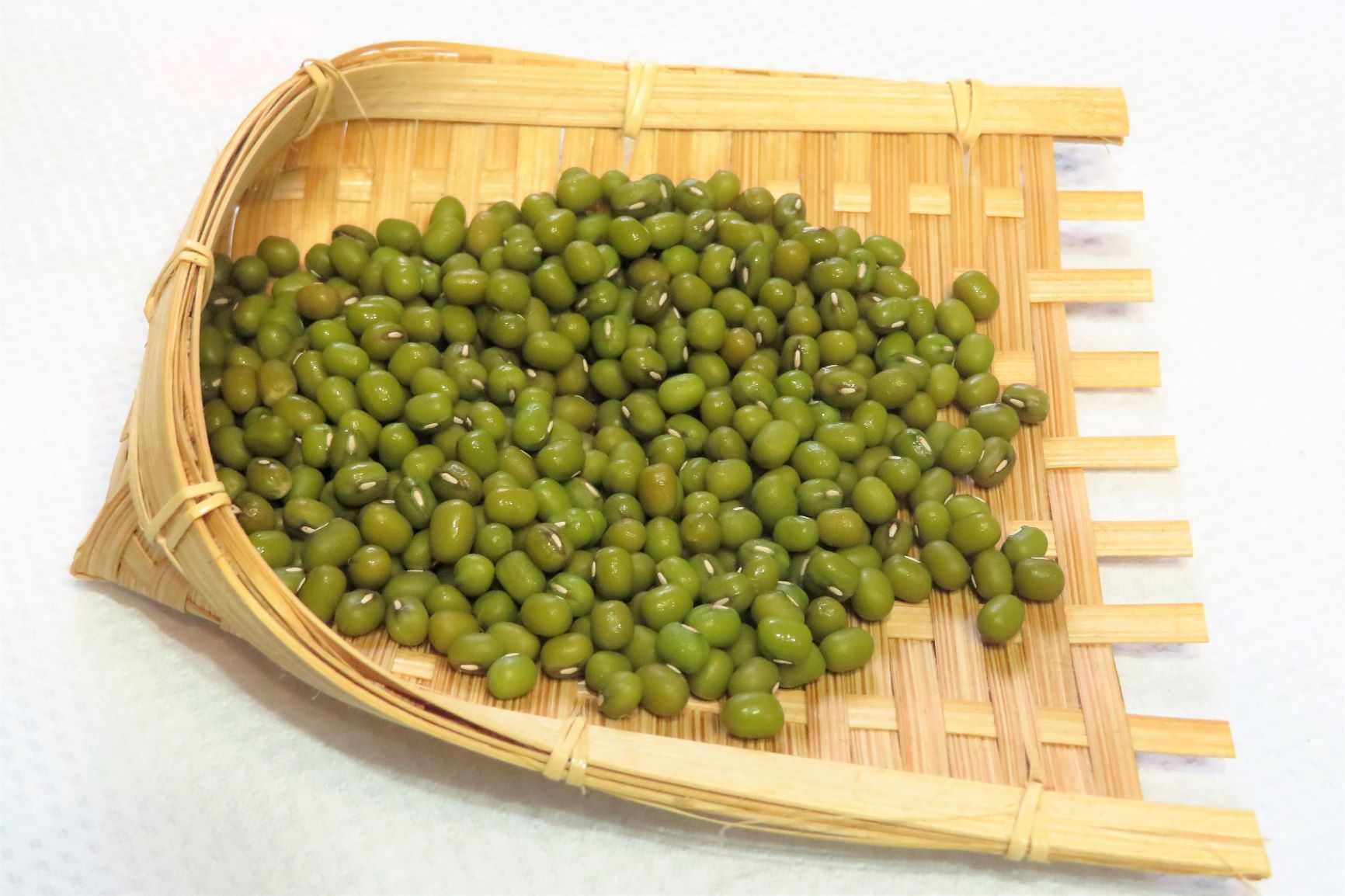 役に立つ身近な　食品・生薬 緑豆（mung bean　）　マメ科　ササゲ属 